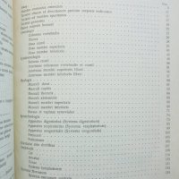 Книга Анатомически номенклатури - Димитър Каданов 1959 г., снимка 3 - Специализирана литература - 38346854