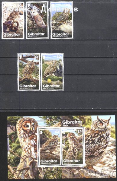 Чисти марки и блок Фауна Птици Сови 2020 от Гибралтар, снимка 1