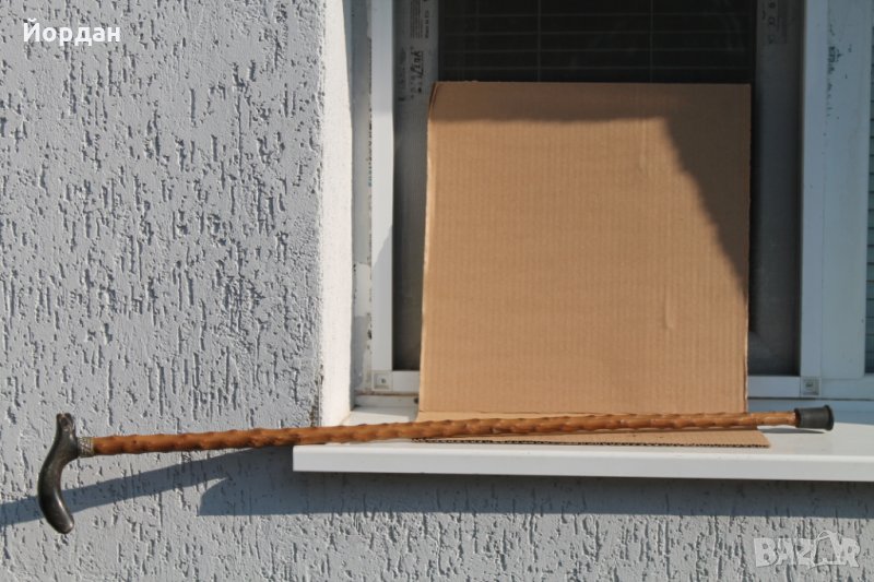 Стар бастун , снимка 1