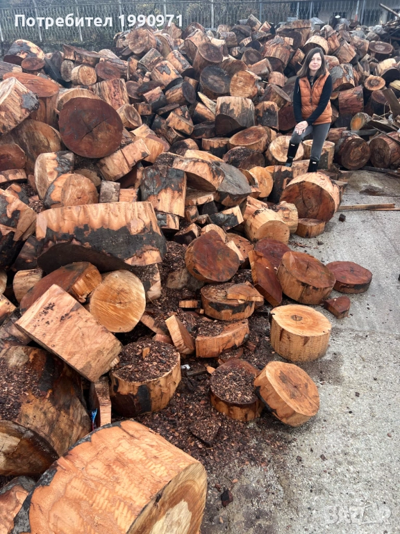 Бук на шайби различни размери. Подходящ за маси и различни арт проекти., снимка 1