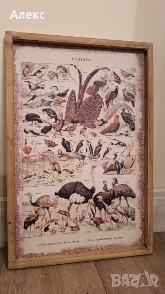 Фауна– Голяма картина, дървена рамка, 60см/ 40см, снимка 1