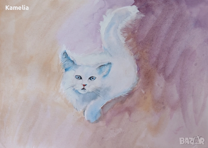 Картина: "Бяло коте" - акварел , снимка 1