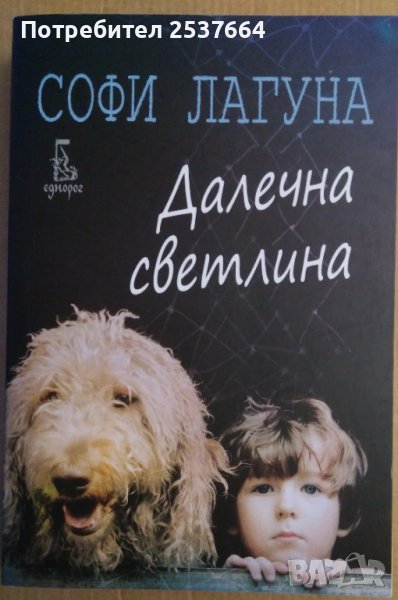 Далечна светлина  Софи Лагуна, снимка 1