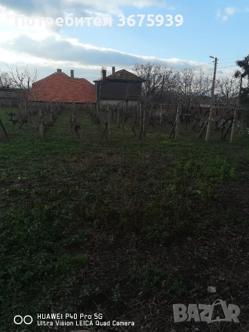 къща с двор в с.Глушник, снимка 5 - Къщи - 51624753