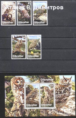 Чисти марки и блок Фауна Птици Сови 2020 от Гибралтар, снимка 1