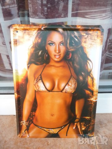 Метална табела бира Guinness Гинес Тукан тъмна ирландска пъб бирария клуб фест бирен ретро, снимка 8 - Декорация за дома - 15048909