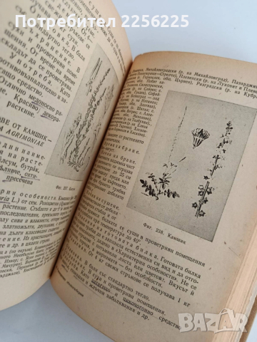 Ръководство по билкосъбиране, снимка 3 - Специализирана литература - 53878244
