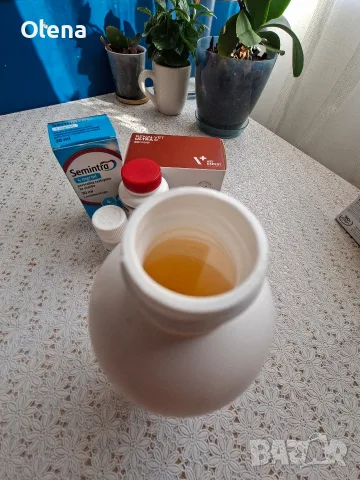 Азоваст, Семинтра, Vet Expert RenalVet Ultra... , снимка 12 - Ветеринари и услуги - 55796415