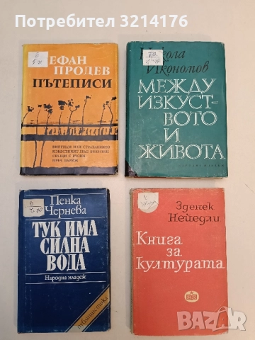 Тук има силна вода - Пенка Чернева