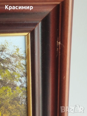  Маслена картина. Подписана и рамкирана размери 58 /48 см., снимка 5 - Картини - 51941272