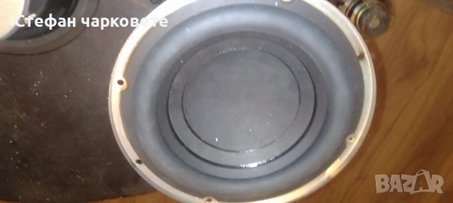 Басов говорител свалян от субуфер Sony , снимка 2 - Тонколони - 54352846