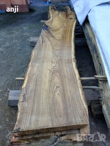 Талпи японска Акация 