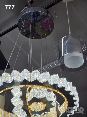 полилеи, снимка 5 - Полилеи - 48275058