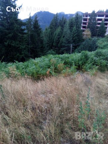 Продавам парцел на Пампорово 