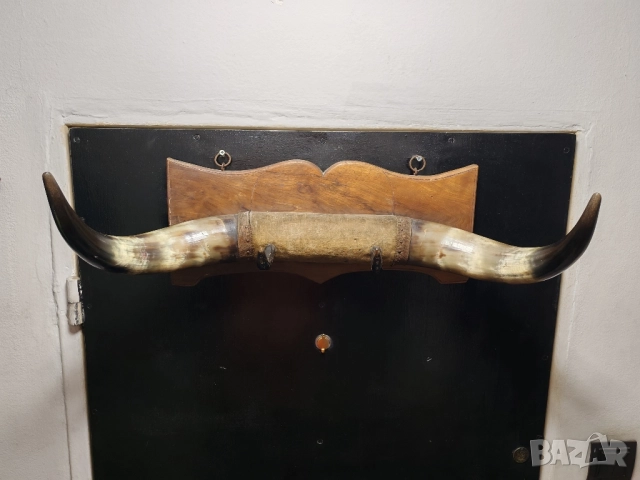 Рога от вол, Тексас , каубой, родео, закачалка. , снимка 3 - Антикварни и старинни предмети - 52000137