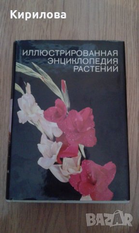 Иллюстрованная энциклопедия растений-20 лева, снимка 1 - Художествена литература - 35605385