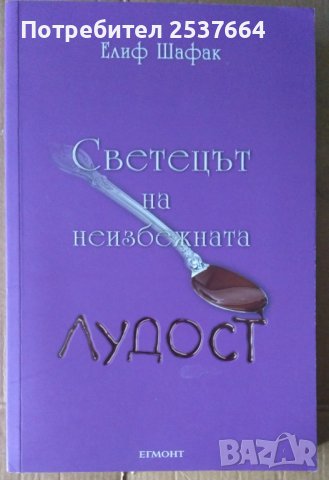 Светецът на неизбежната лудост Елиф Шафак