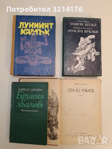 Брулени хълмове - Емили Бронте