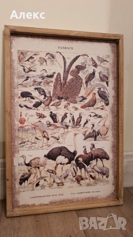 Фауна– Голяма картина, дървена рамка, 60см/ 40см