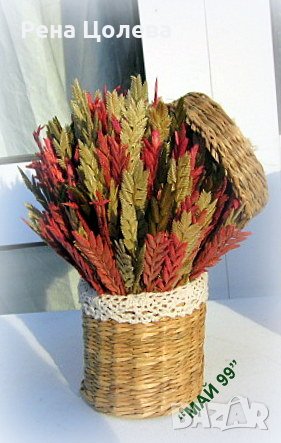 Подарък в кашпа от морска трева, снимка 4 - Декорация за дома - 39381335