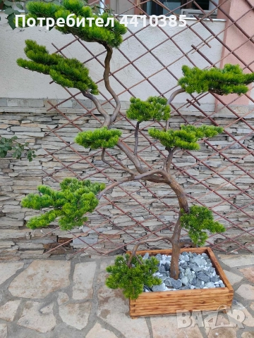 ръчно изработен бонсай Японски стил(уникат) , снимка 4 - Декорация за дома - 52833000