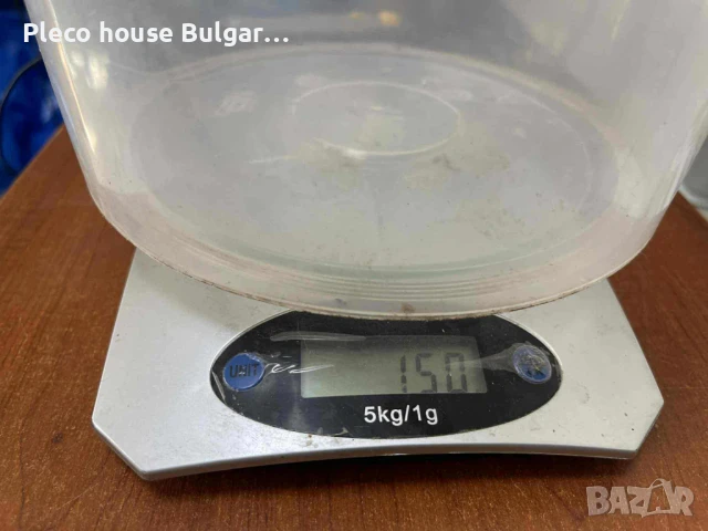 Драконови камъни за аквариум, снимка 5 - Оборудване за аквариуми - 51060940