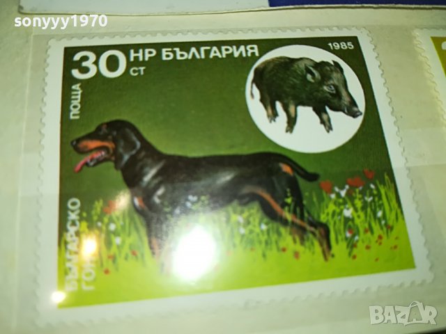 МАРКА 1 НРБ 1985 БГ ГОНЧЕ 1203231010, снимка 4 - Филателия - 39968459
