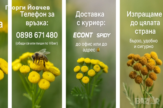 Вратига - билка против акар по пчелите, снимка 3 - За пчели - 51569439