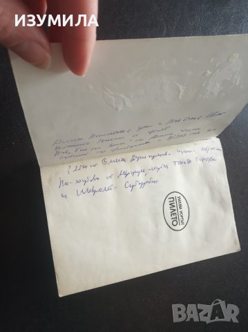 "Пилето" - Уилям Уортън , снимка 2 - Художествена литература - 44385449