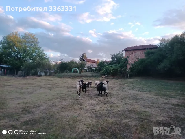 Поземлен имот в с. Горна Росица, снимка 3 - Парцели - 56064361