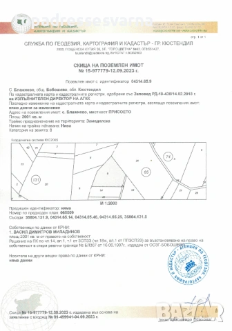 Земеделски земи с. Блажиево и с. Каменик, снимка 4 - Земеделска земя - 54203676