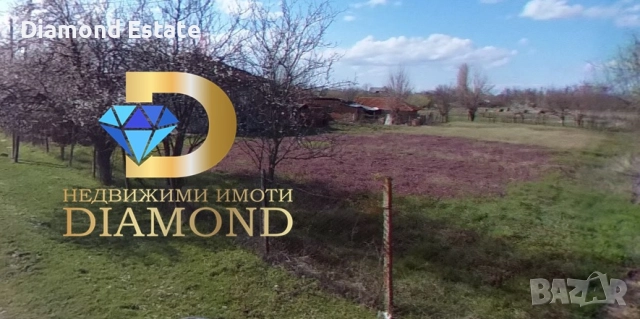 Едноетажна къща в село Книжовник, обл. Хасково, снимка 5 - Къщи - 51579661