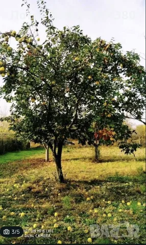 Имот - УПИ с. Комощица, снимка 3 - Парцели - 56451918