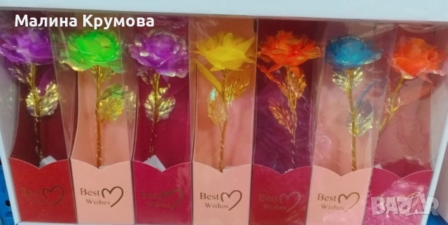 Декоративна цветна роза „Best Wishes“ със златно стъбло