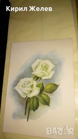 ЛОТ 3 СТАРИ РЕДКИ КОЛЕКЦИОНЕРСКИ ПОЩЕНСКИ КАРТИЧКИ НРБ СССР ГДР 6463, снимка 2 - Филателия - 38729851