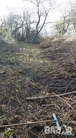 почистване на дворове градини и строителни материали материали работим с личен наш транспорт