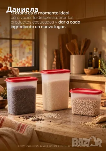 Овали Tupperware 