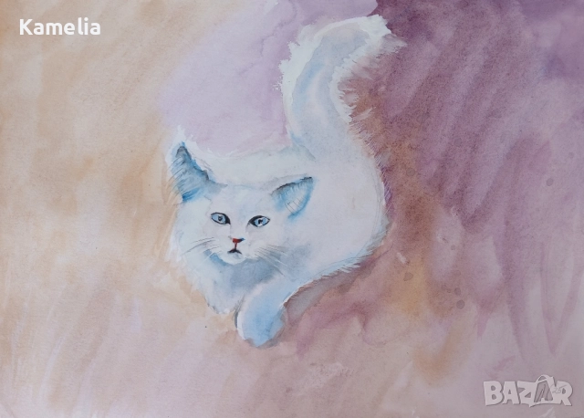 Картина: "Бяло коте" - акварел 