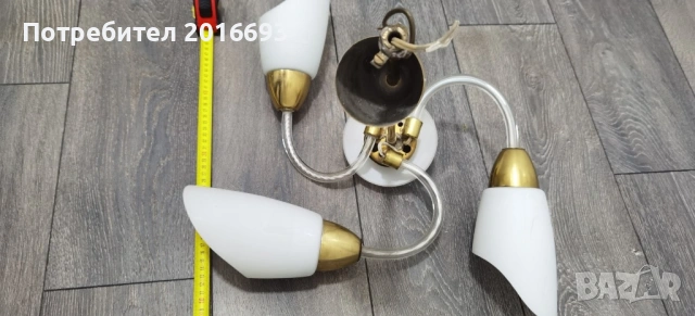 Полилеи, снимка 2 - Полилеи - 54249835