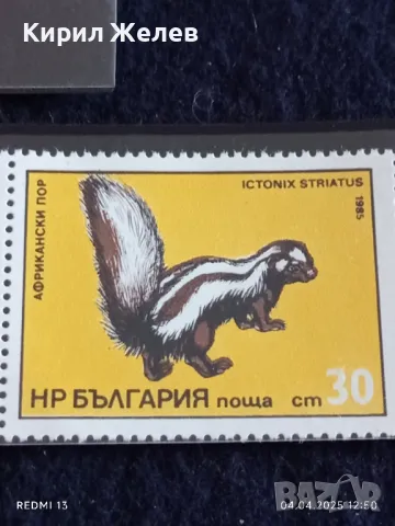 Пощенски марки серия ЖИВОТНИ чисти без печат от соца за КОЛЕКЦИЯ 46689, снимка 3 - Филателия - 49760822