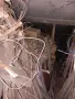 Дърва и дребни въглища , снимка 1