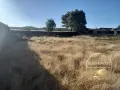 парцел село Оряхово ,община Любимец, снимка 1