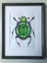 Зелено бръмбарче