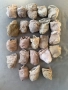 23 бр тънки чорапки, снимка 2