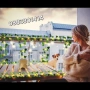 Соларен LED гирлянд Бръшлян 10 метра , снимка 4