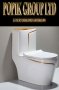 Луксозен Дизайнерски моноблок,Тоалетна чиния с златна линия, снимка 4