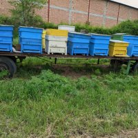 Пчелни кошери и платформа, снимка 2 - За пчели - 40807210