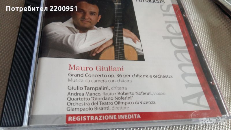 MAURO GIULIANI, снимка 1