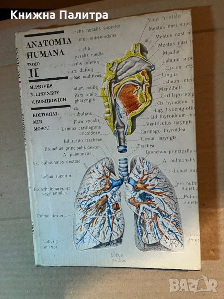 ANATOMIA HUMANA TOMO II, снимка 1