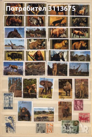 Класьор с пощенски марки, снимка 4 - Филателия - 42418982